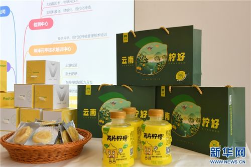 永勝小檸檬 技術推廣凝聚鄉(xiāng)村振興大力量